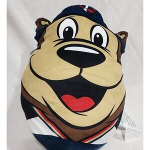 Minnesota Twins MLB Mascot T.C. Bear pillow